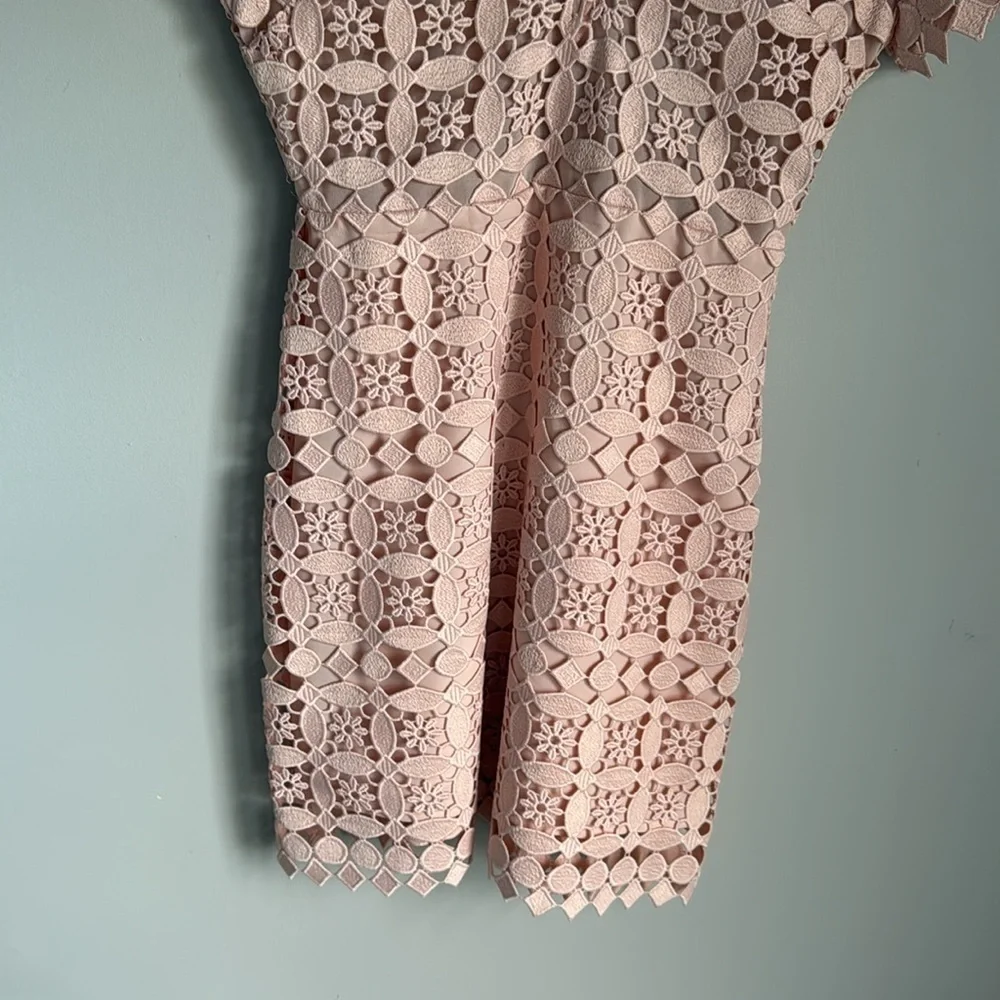 Sandro Paris Manureva Pink Lace Dress 6 - Picture 6 of 15